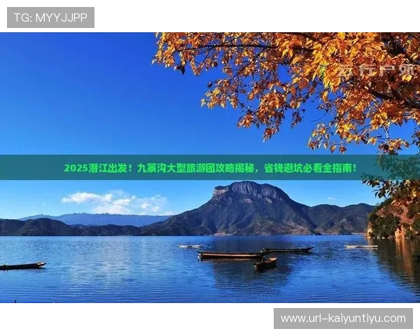 滚球和早盘避坑指南彩票数字高频玩法防骗秘诀
